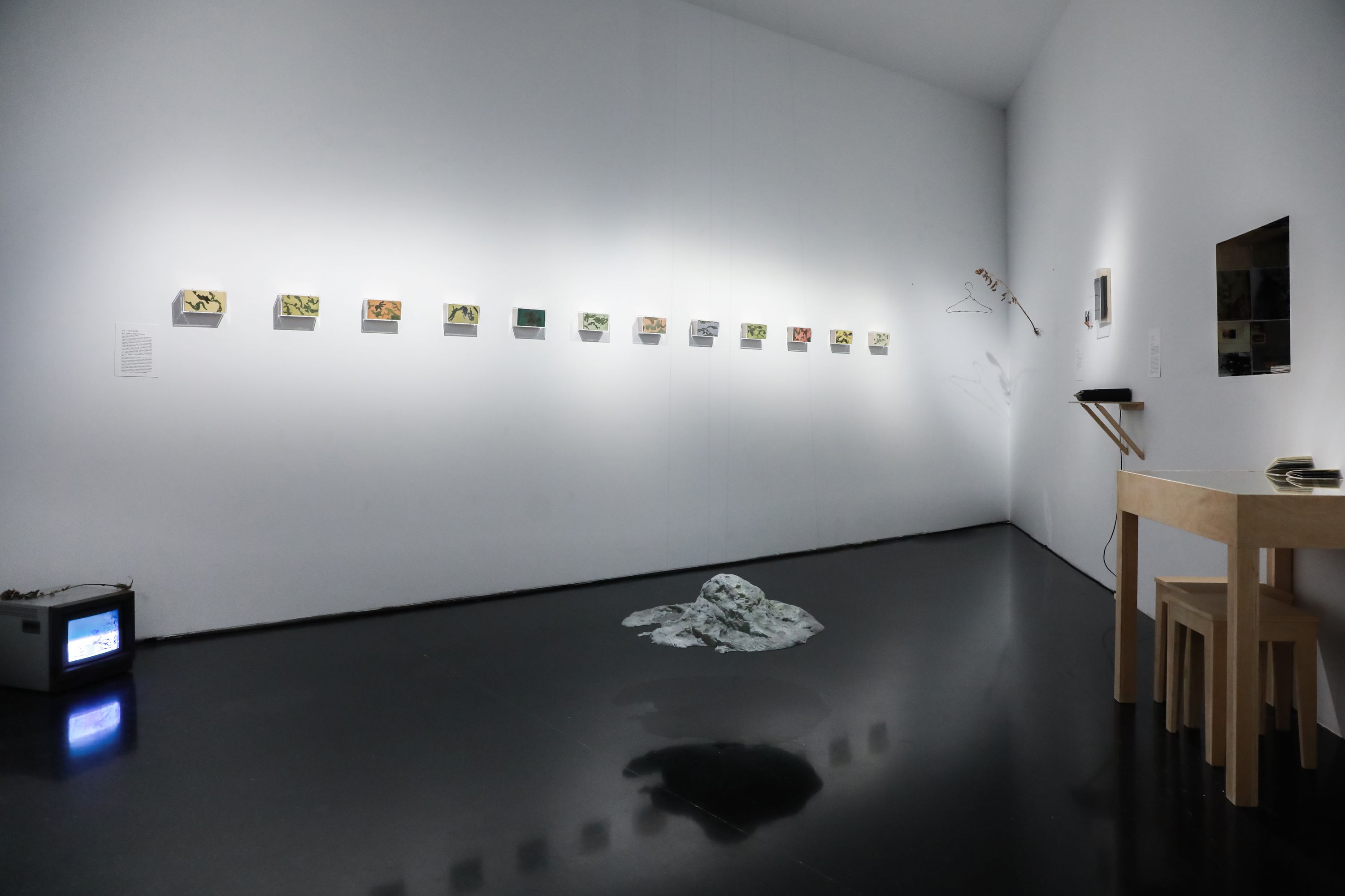 “水手计划·走向现场”艺术展在上海西岸举办